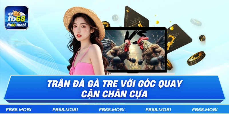 Trận đá gà tre với góc quay cận chân cựa